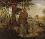 From farmers and Selenocosmia, Pieter Bruegel